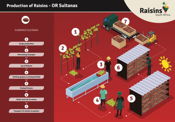 Seedless Sundried Raisins - Sultana Jumbo (12.5kg)